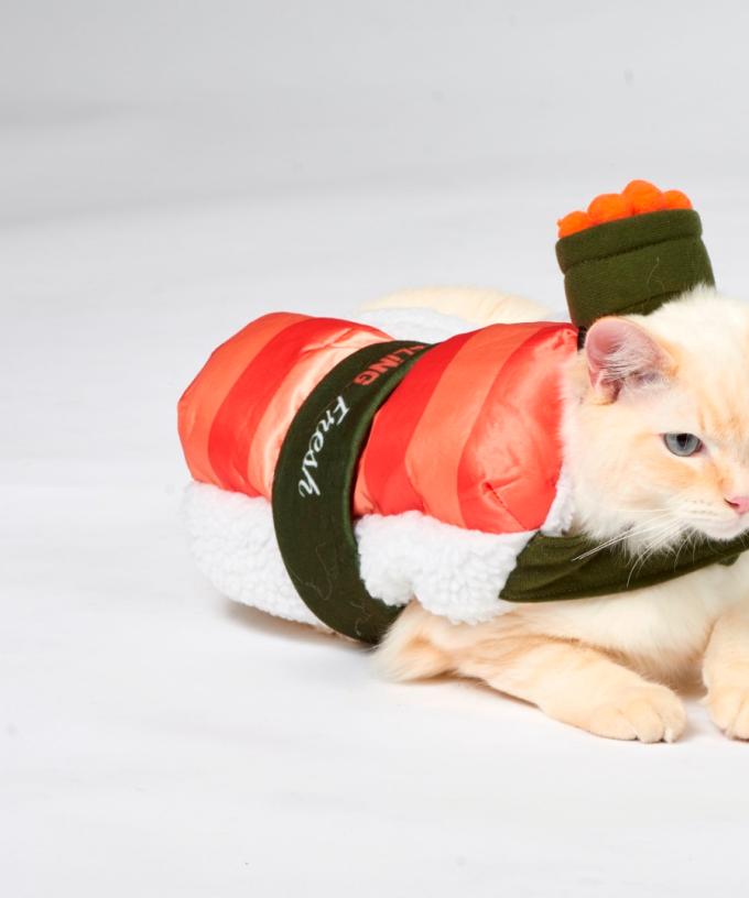 The Costumes Your Pets Need This Halloween