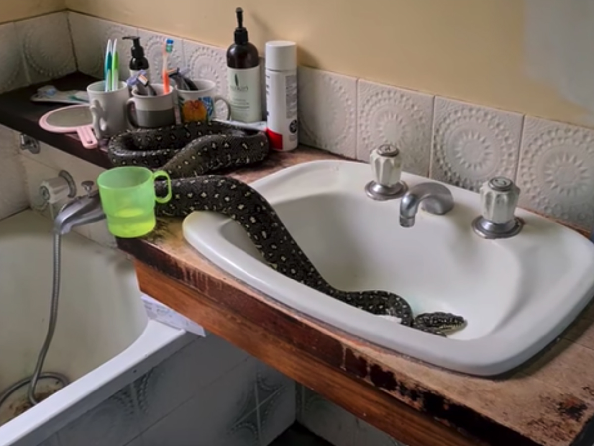 python bathroom sink adapter
